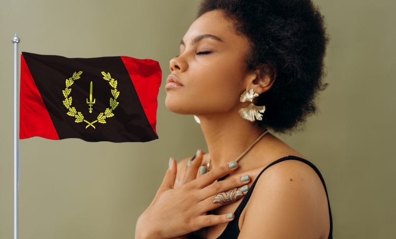 african american heritage flag