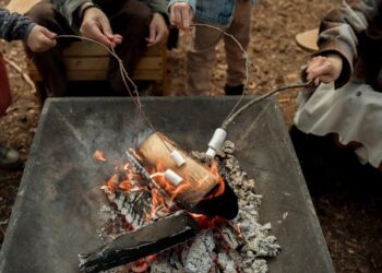 smokeless fire pit ring