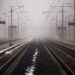 victor reynolds train