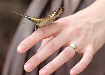 what is a butterfly bead killing eve