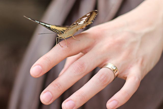 what is a butterfly bead killing eve