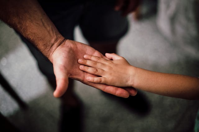 Term Life vs. Whole Life Insurance – Which One Is Right for You