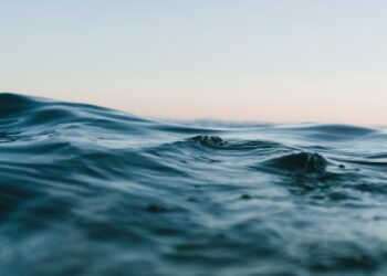 georgie fenton and beth fenton