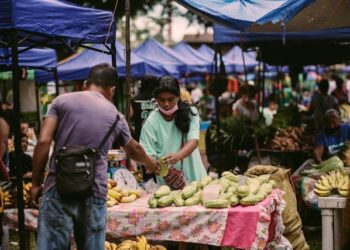 open aire market la jolla