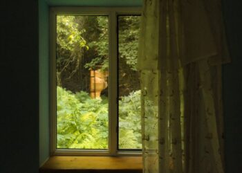 The Renovating Rule Don’t Forget the View