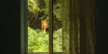 The Renovating Rule Don’t Forget the View