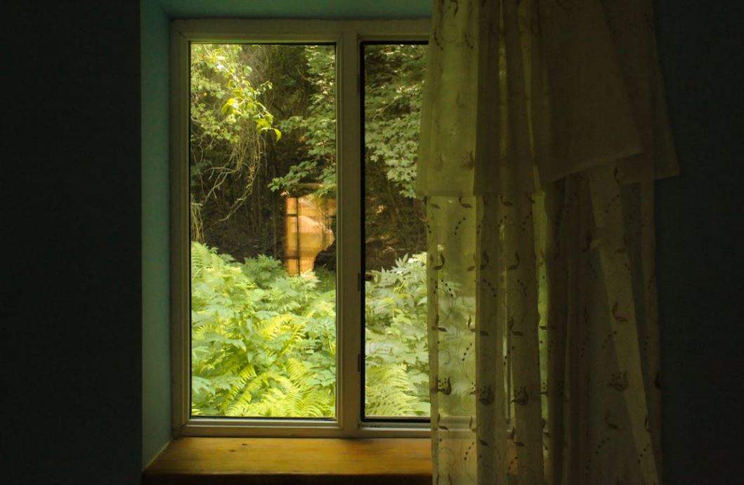 The Renovating Rule Don’t Forget the View