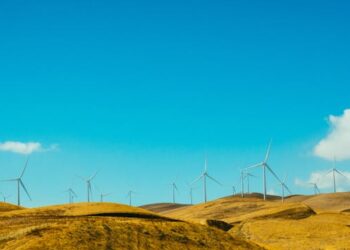 Allolmalam What It Means & Why It Matters