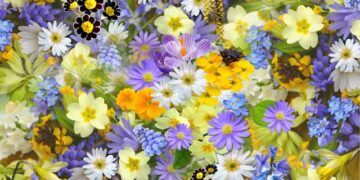 Creating Engaging Experiences at Corporate and Private Events