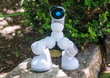 Joalison Styron The Meaning Behind a Quiet Digital Name