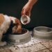 When to Switch Puppy to Adult Food (Vet-Backed Guide)