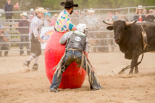 NFBR and PRCA Challenge Cancelled What Happened