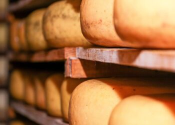 Quesito El Establo Cheese Recall What Happened