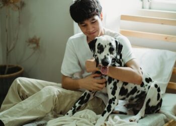 5 Pet Wellness Tips That Actually Work