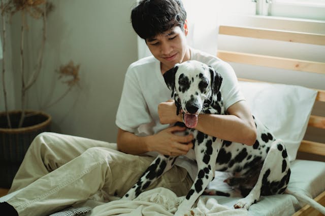 5 Pet Wellness Tips That Actually Work