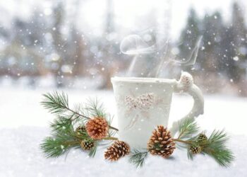 7 Cozy Ways to Stay Warm During Winters