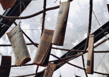 Des Moines Register Cartoon Pintei 1943 Hidden Story