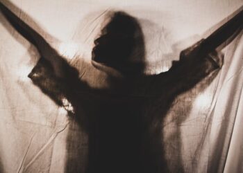 Emma Staar The Internet’s Curiosity Loop Explained