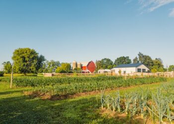 Vorsteveld Farm Legal Case Vermont Hidden Truths