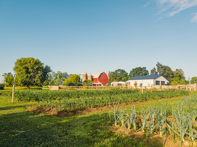 Vorsteveld Farm Legal Case Vermont Hidden Truths
