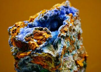 Copper Sulfate Tree Roots Usage What Actually Works