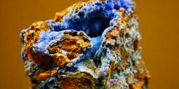 Copper Sulfate Tree Roots Usage What Actually Works