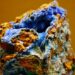 Copper Sulfate Tree Roots Usage What Actually Works