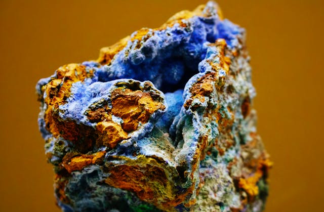 Copper Sulfate Tree Roots Usage What Actually Works