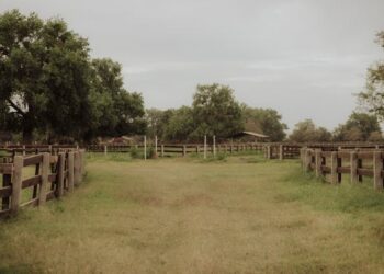 Headquarters Ranch LLC Carney Photos A Visual Guide