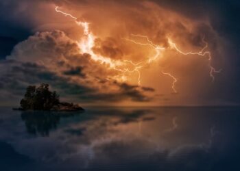 Rocco Dardis 5 Powerful Insights Into a Quiet Enigma