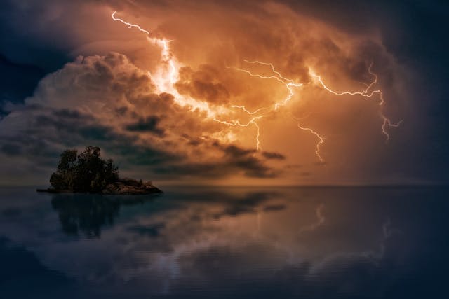 Rocco Dardis 5 Powerful Insights Into a Quiet Enigma