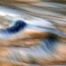 Surreal Psychotomy Meaning Beyond the Noise
