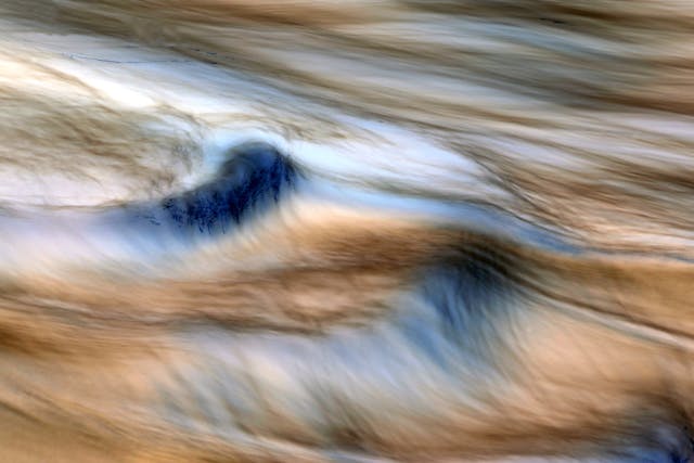 Surreal Psychotomy Meaning Beyond the Noise