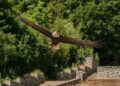 1858 Flying Eagle History, Value, and Rare Varieties