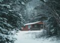 Dr. Scholl Michigan Home Sale History, Price & Facts