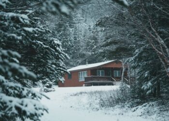 Dr. Scholl Michigan Home Sale History, Price & Facts