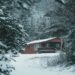 Dr. Scholl Michigan Home Sale History, Price & Facts