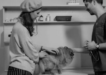 Vet Suicide Rate Understanding the Crisis, Causes, and Solutions