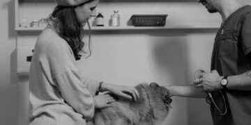 Vet Suicide Rate Understanding the Crisis, Causes, and Solutions