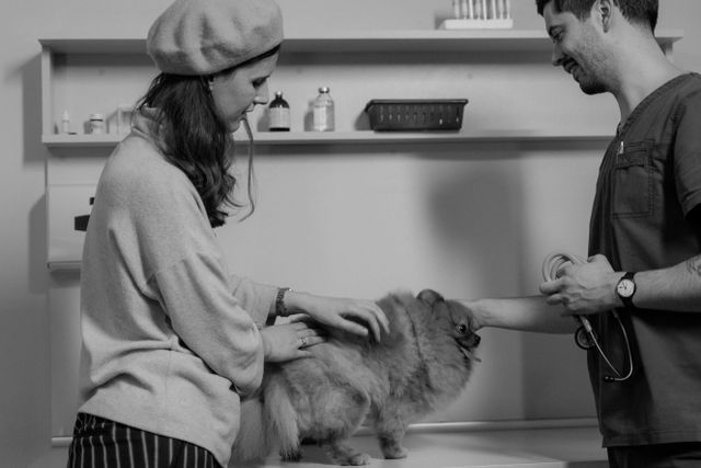 Vet Suicide Rate Understanding the Crisis, Causes, and Solutions