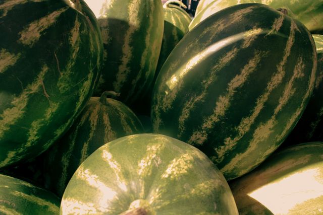 Can Dogs Have Watermelon A Safe Feeding Guide