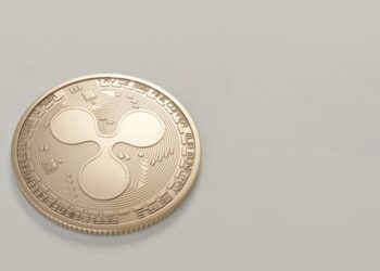 Charles Hoskinson Claims XRP Beyond Finance Systems