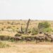 How to Score the Best Value-for-Money Great Migration Safari