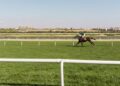 Katie Davis Jockey Height How Tall Is She