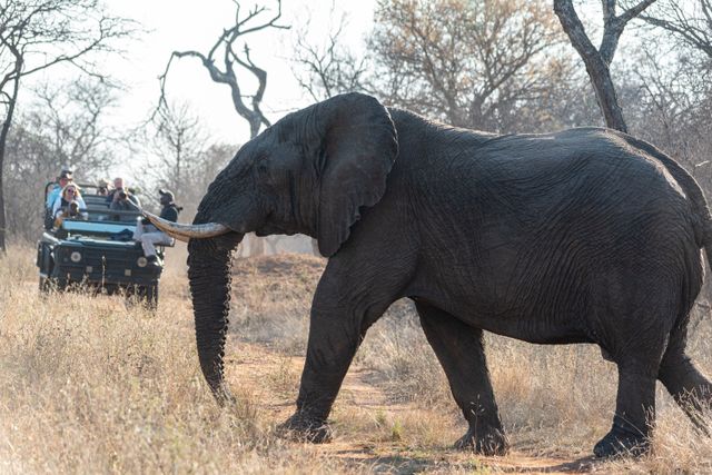 The Slow Safari Family Luxury in South Africa