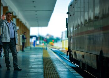 What is Vigelence Padal in Train