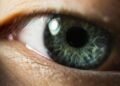 Central Heterochromia vs. Hazel How to Tell