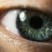 Central Heterochromia vs. Hazel How to Tell