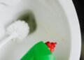 Toilet Tank Cleaner What to Use and Skip