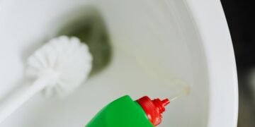 Toilet Tank Cleaner What to Use and Skip